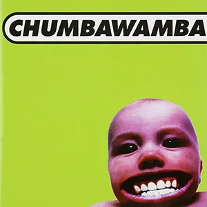 Chumbawamba-Tubthumper
