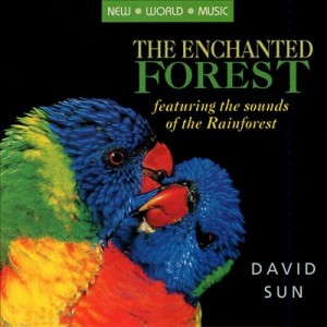David Sun - The Enchanted Forest (1992)