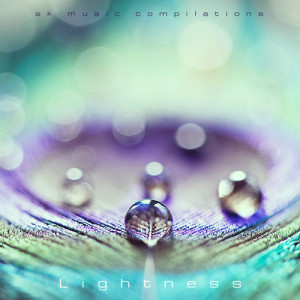 The Lightness (Сборник S.K., 2013)